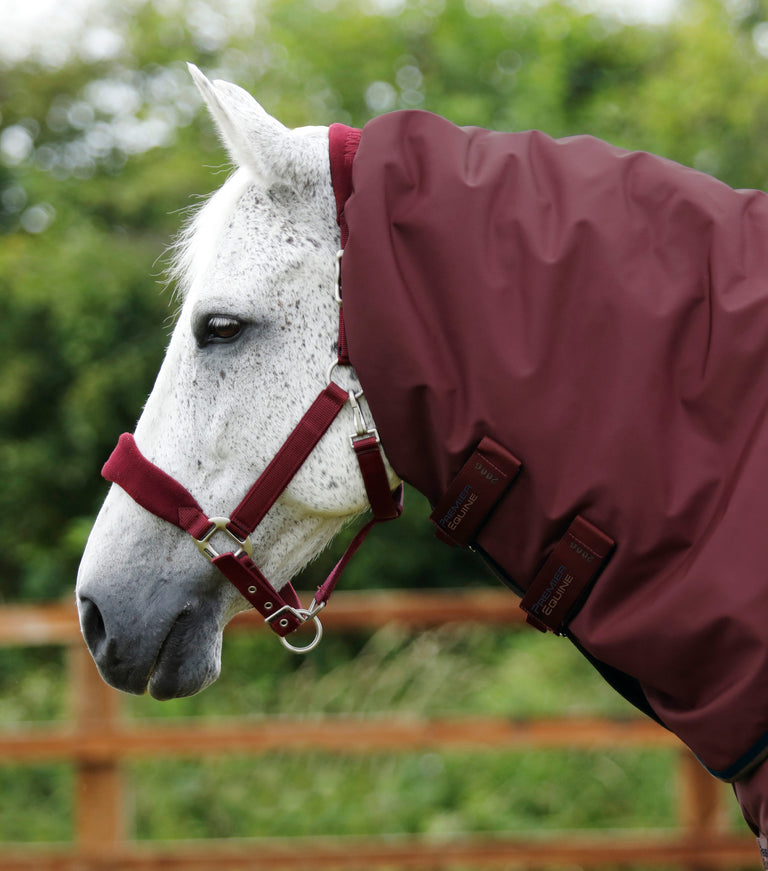 Buster 400g Turnout Rug with Snug-Fit Neck Cover