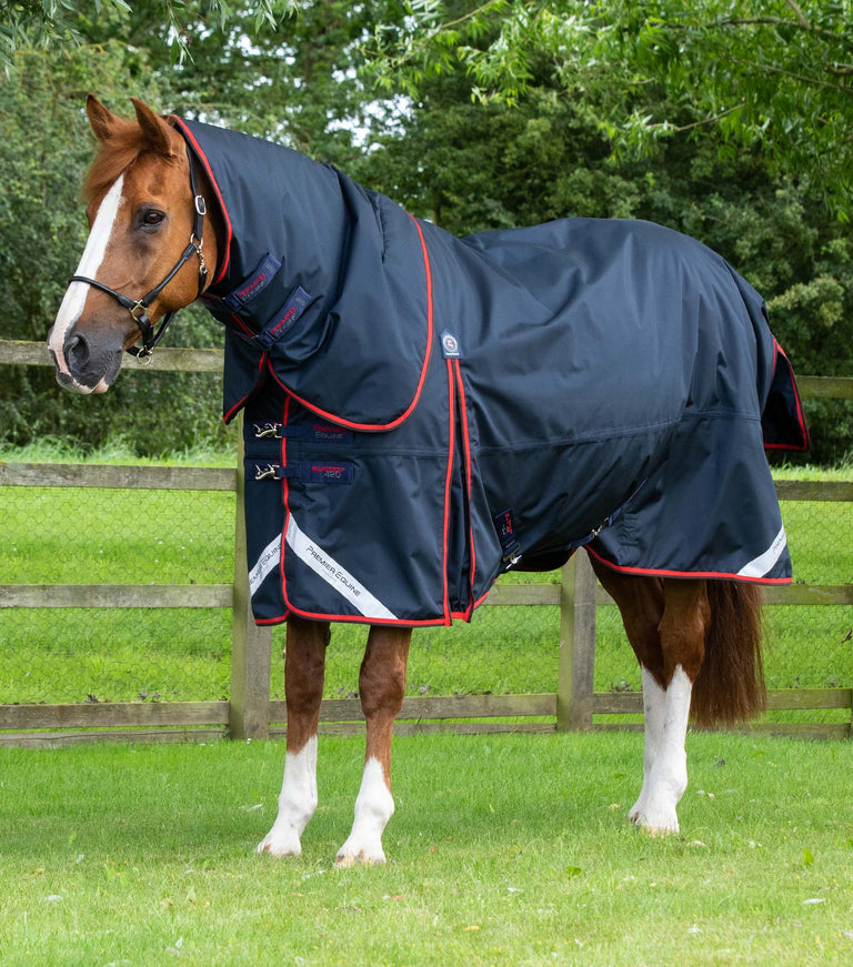 EX DISPLAY - Buster 420g Turnout Rug with Classic Neck Cover