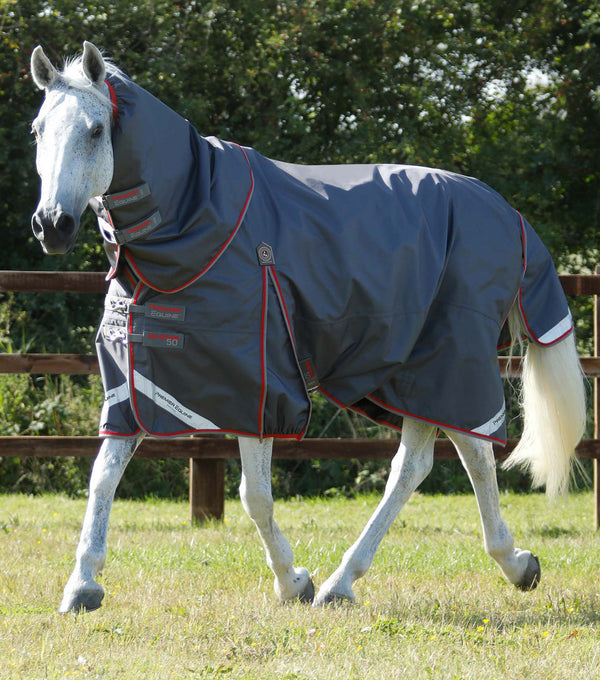 MARKED - Buster 50g Turnout Rug with Snug-Fit Neck Cover