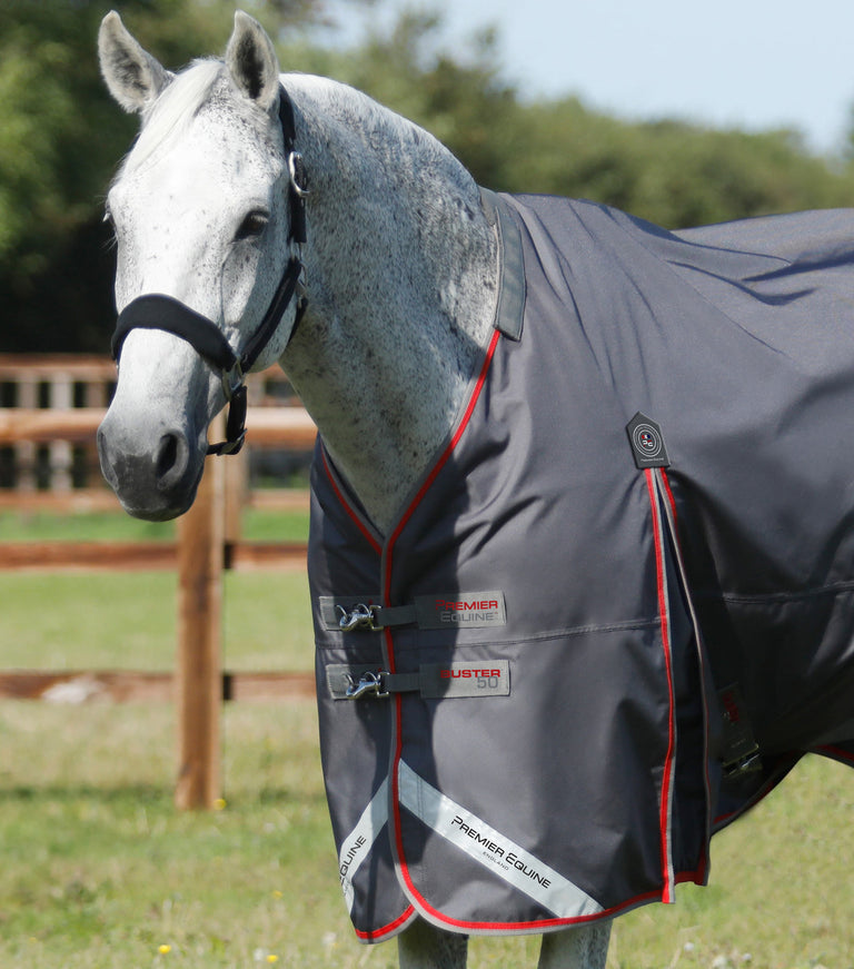 Premier Equine Buster 840D turnout rug in grey