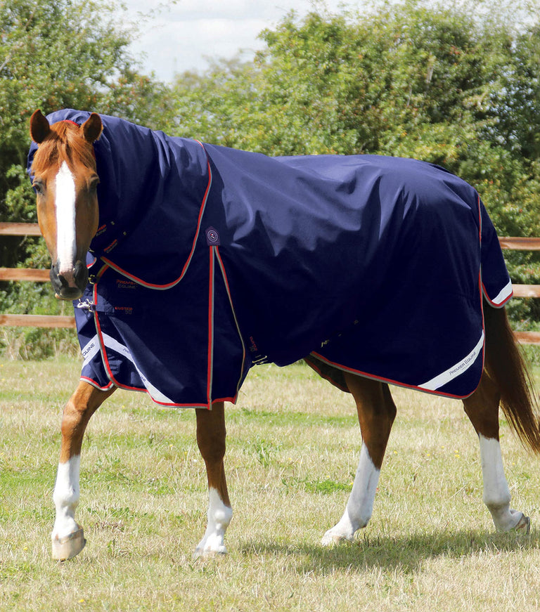 Buster 50g Turnout Rug with Snug-Fit Neck Cover