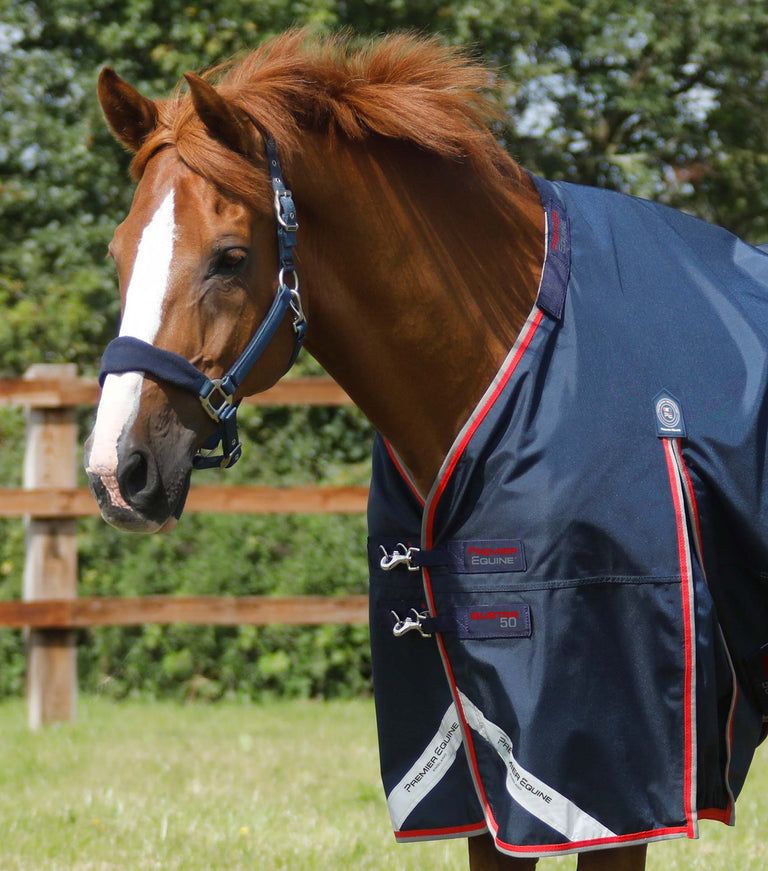 Buster 50g Turnout Rug with Snug-Fit Neck Cover