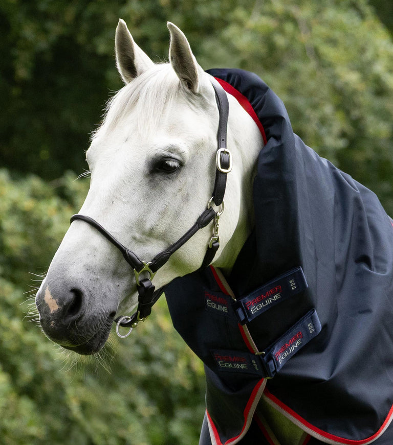 Buster 50g Turnout Rug with Snug-Fit Neck Cover
