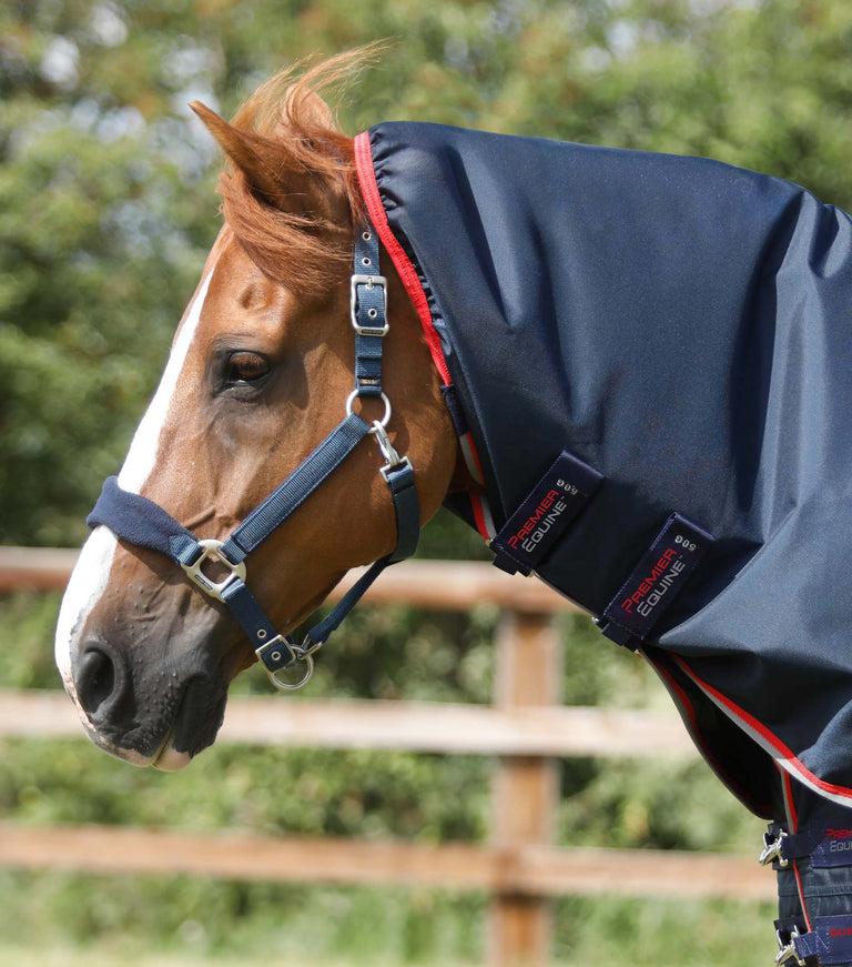Buster 50g Turnout Rug with Snug-Fit Neck Cover