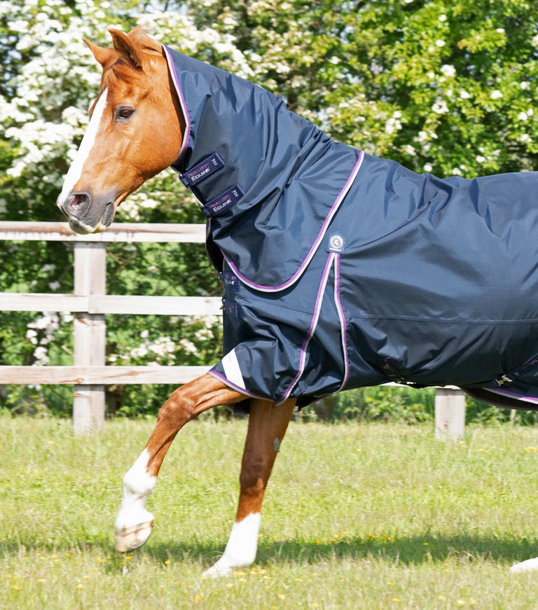 Buster 70g Turnout Rug with Classic Neck Cover