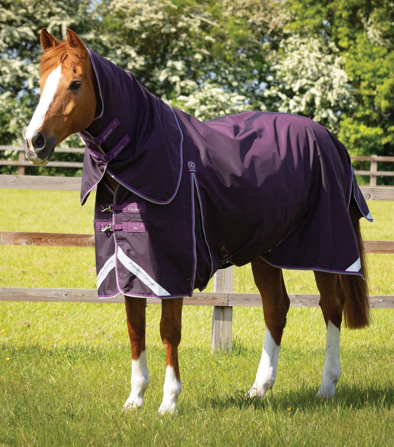EX DISPLAY - Buster 70g Turnout Rug with Classic Neck Cover
