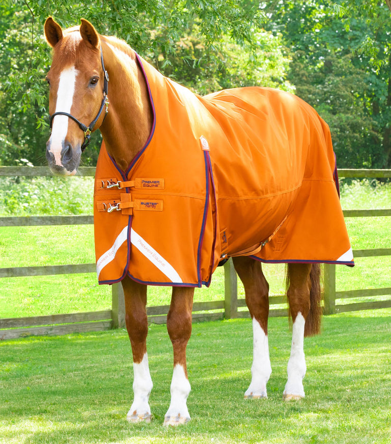 EX DISPLAY - Buster Hardy 200g Half Neck Turnout Rug