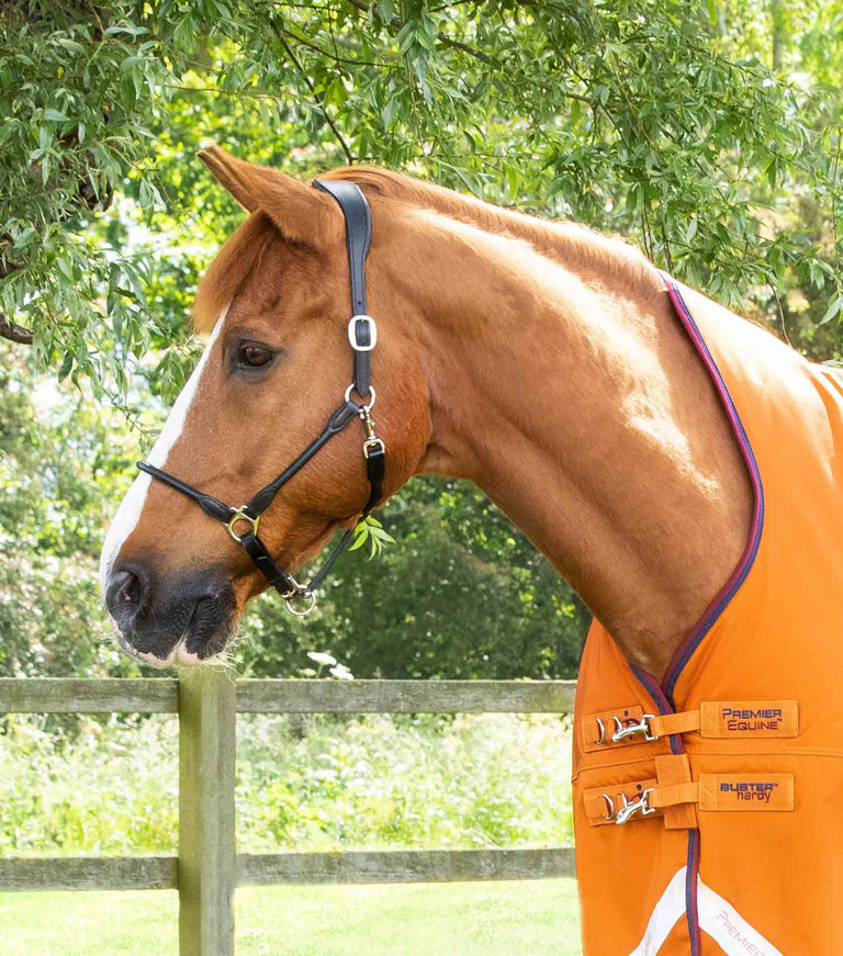 Buster Hardy 200g Half Neck Turnout Rug
