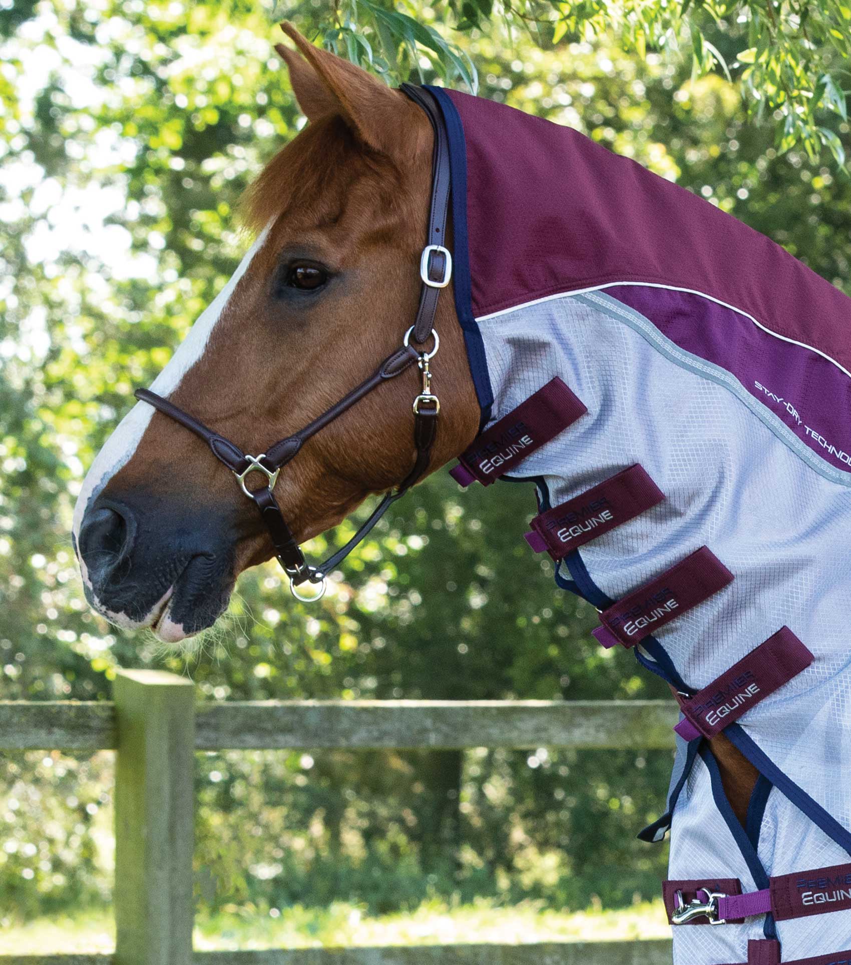 Buster Stay-Dry Super Lite Fly Rug Wine