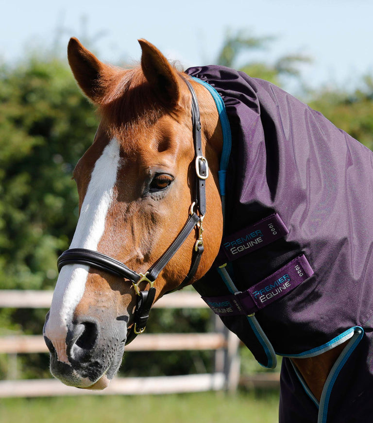 Buster Storm 100g Combo Turnout Rug with Snug-Fit Neck