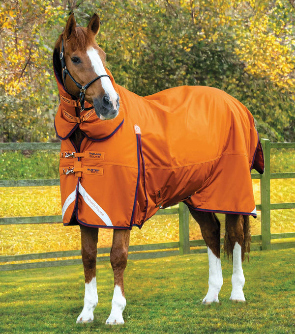 Buster Storm 200g Combo Turnout Rug with Classic Neck