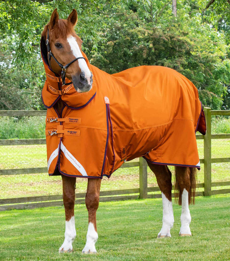 Buster Storm 200g Combo Turnout Rug with Classic Neck