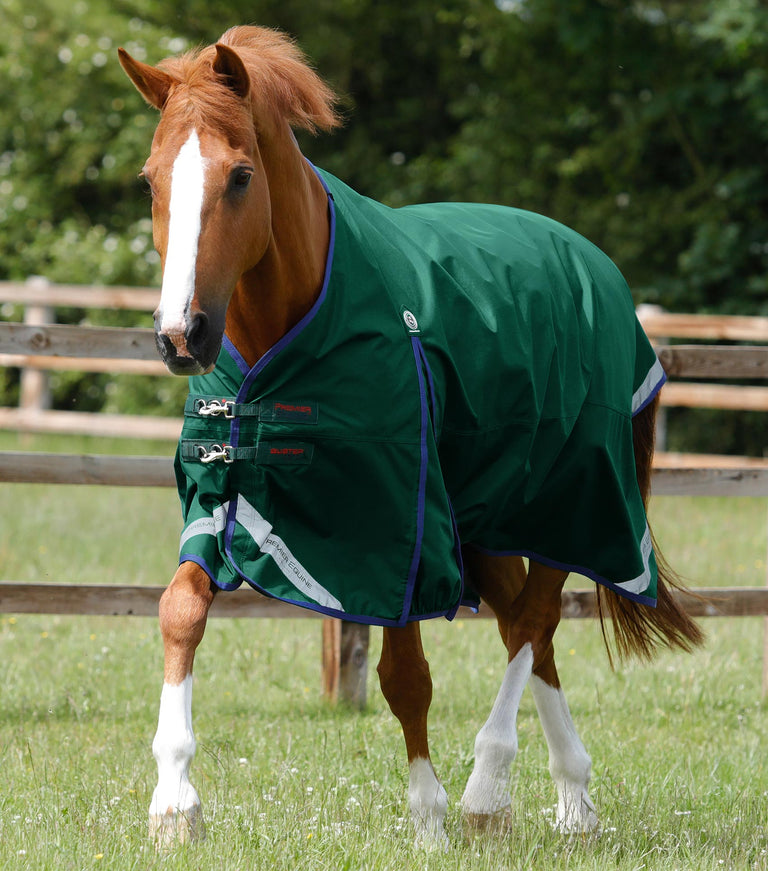 MARKED - Buster Zero Original Turnout Rug