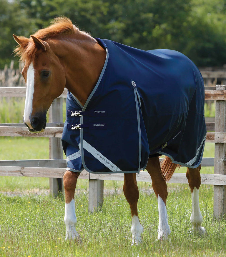 MARKED - Buster Zero Original Turnout Rug