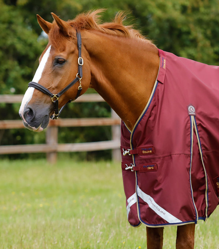 Buster Zero Turnout Rug with Classic Neck Cover