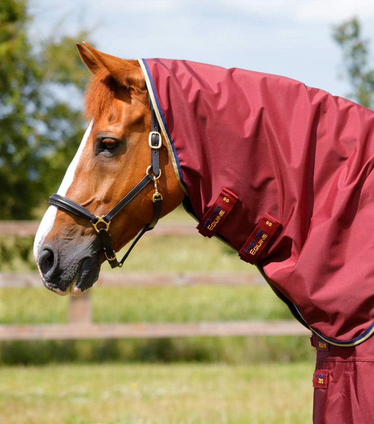 Buster Zero Turnout Rug with Classic Neck Cover