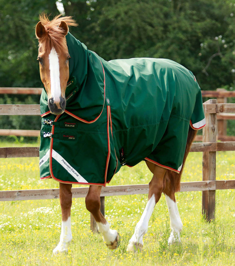 MARKED - Buster Zero Turnout Rug with Classic Neck Cover
