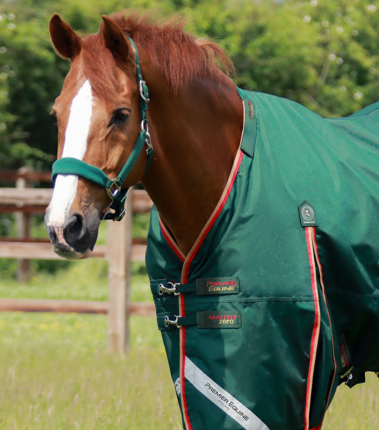 Buster Zero Turnout Rug with Classic Neck Cover