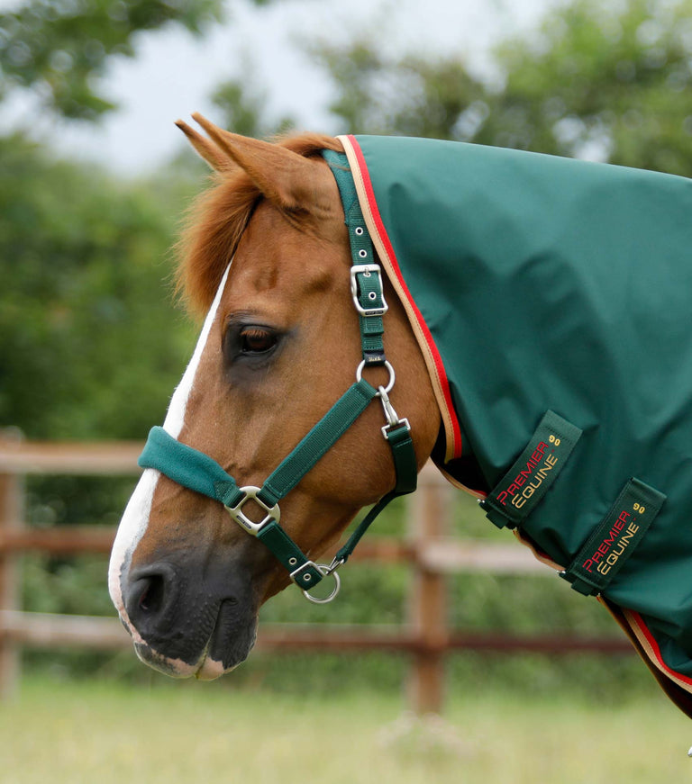 Buster Zero Turnout Rug with Classic Neck Cover