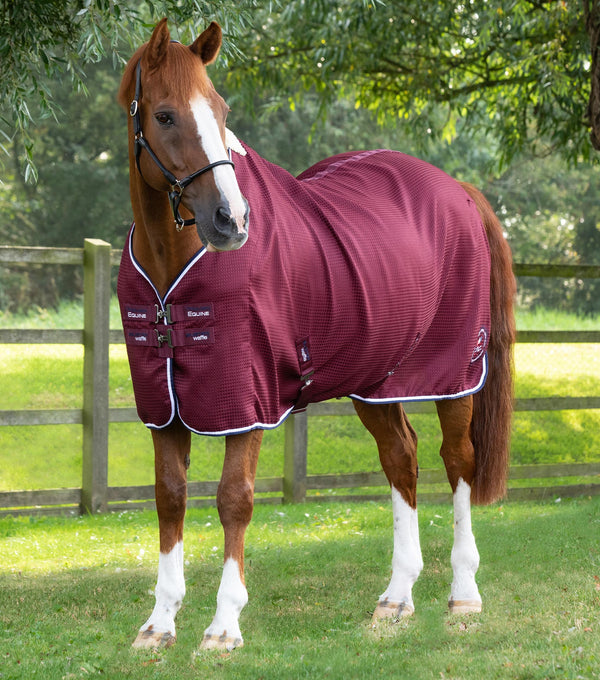 Buster Waffle Horse Cooler Rug