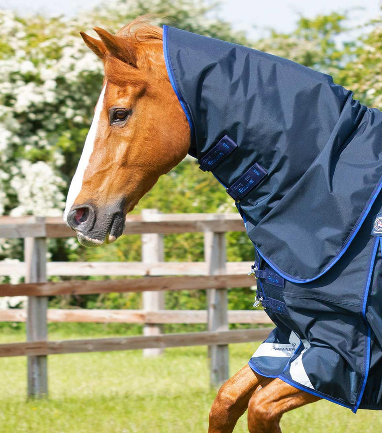 Buster 40g Turnout Rug with Classic Neck Cover
