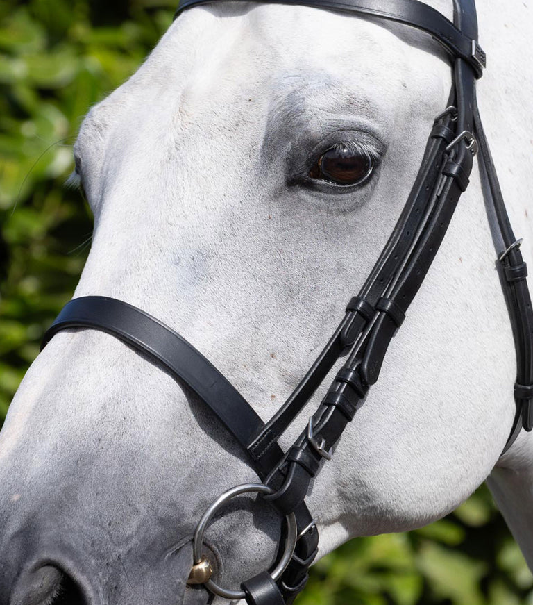 cavesson noseband for racing