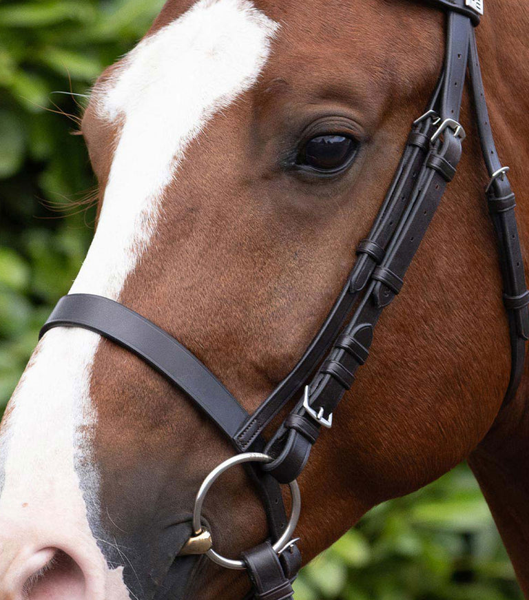 cavesson noseband for racing