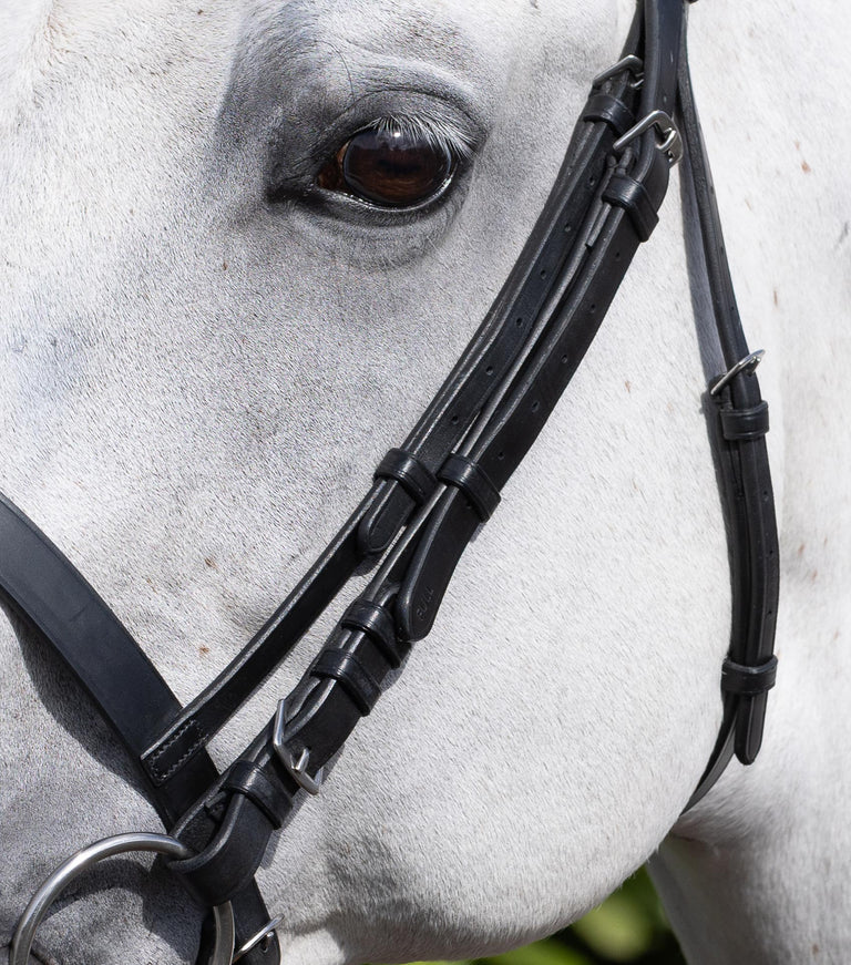 cheek pieces for exercise racing bridle