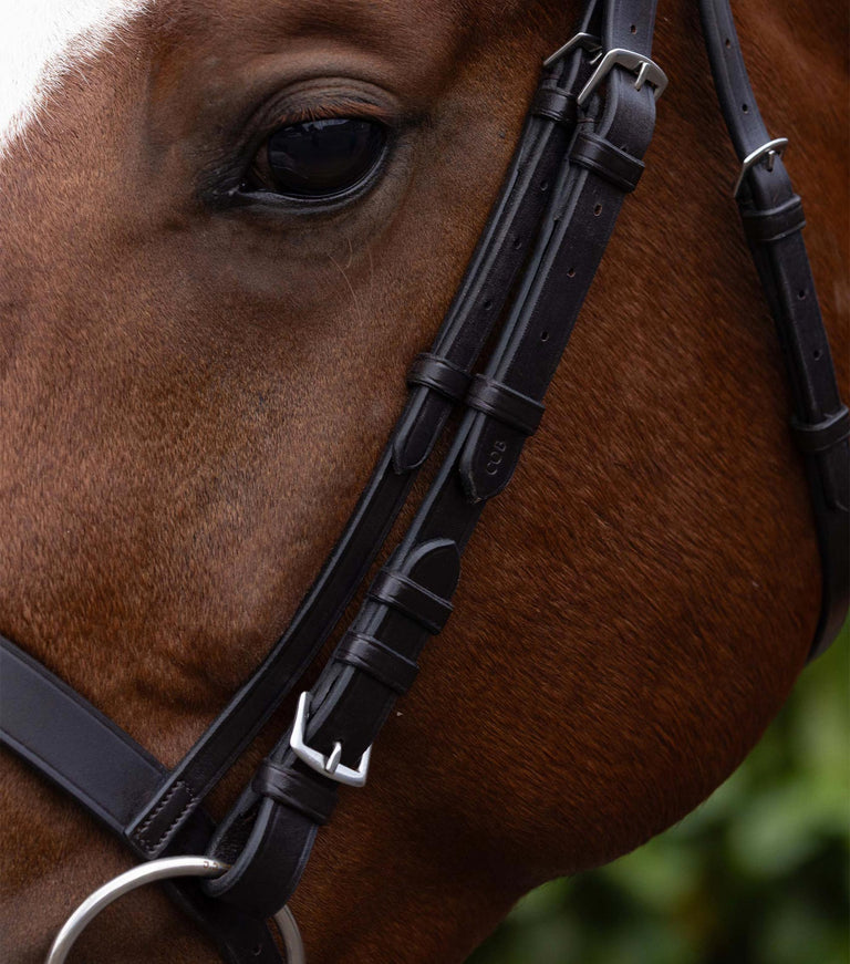 cheek pieces for exercise racing bridle