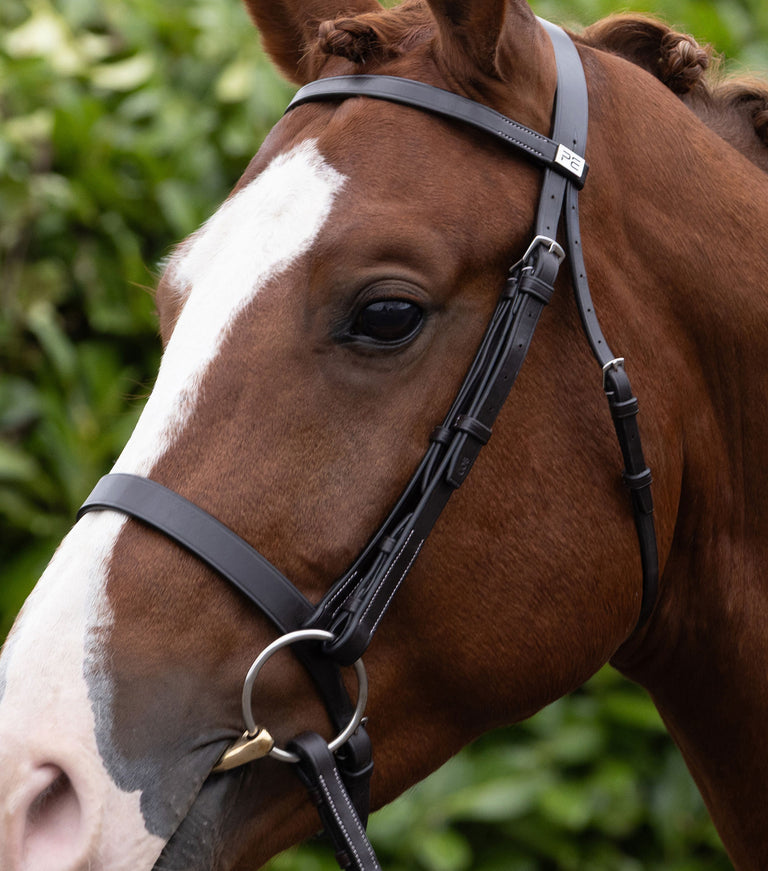 Cheek Pieces for Hunter Bridle