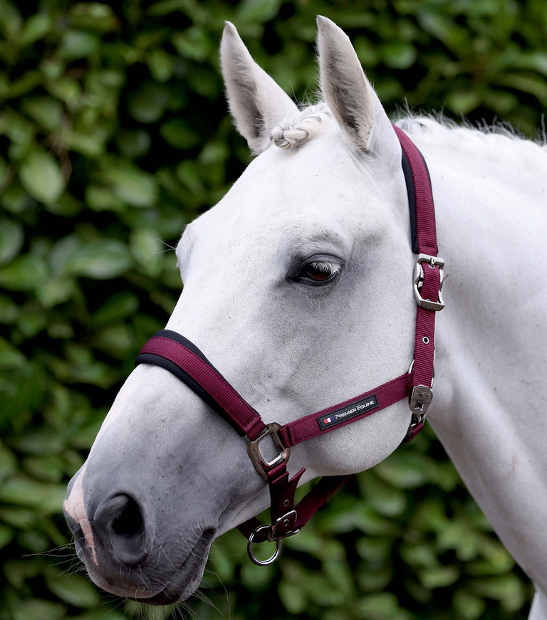 Corda Horse Head Collar with Lead Rope Burgundy