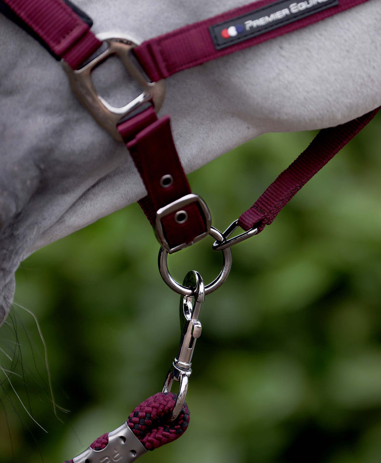 Corda Padded Head Collar with Lead Rope Burgundy