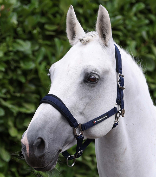 Corda Horse Head Collar with Lead Rope Navy