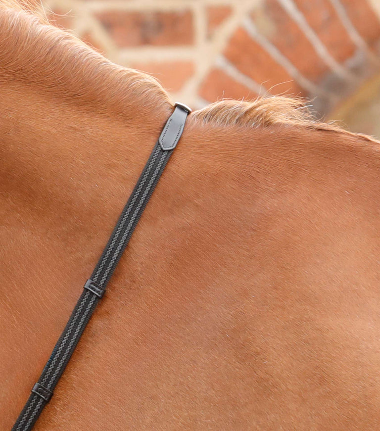 Domenico Web & Rubber Grip Reins