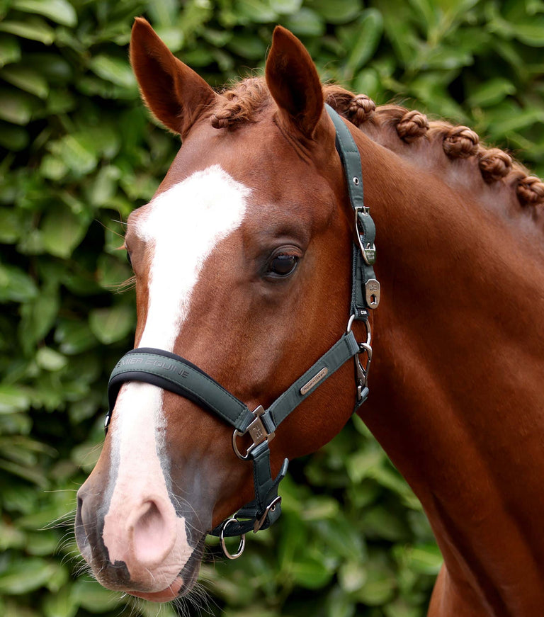 Duco Padded Head Collar with Lead Rope Green