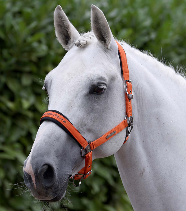 Duco Padded Head Collar with Lead Rope Orange