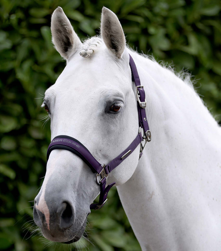 Duco Padded Head Collar with Lead Rope Grape