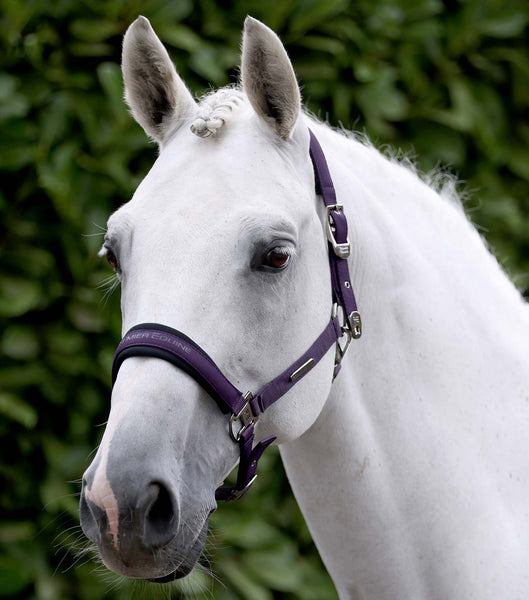 Woof Wear, Contour Headcollar & Lead Rope, Cob, LILAC, FREE Woof Wear, Contour Headcollar & Lead Rope, Cob, LILAC, FREE