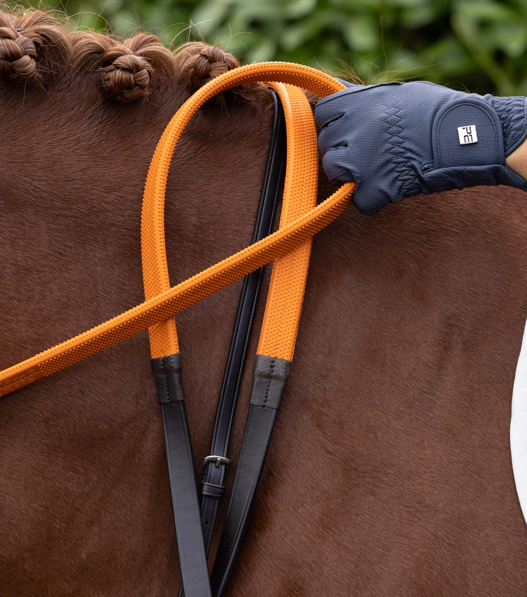 Exercise Racing Reins