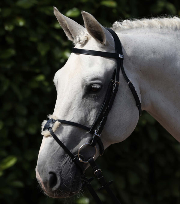 Exercise Racing Bridle With Grackle