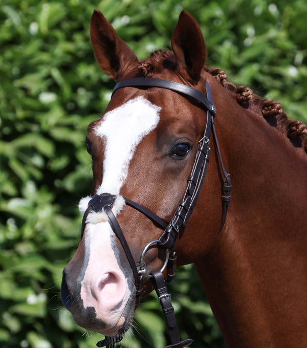 Exercise Racing Bridle With Grackle