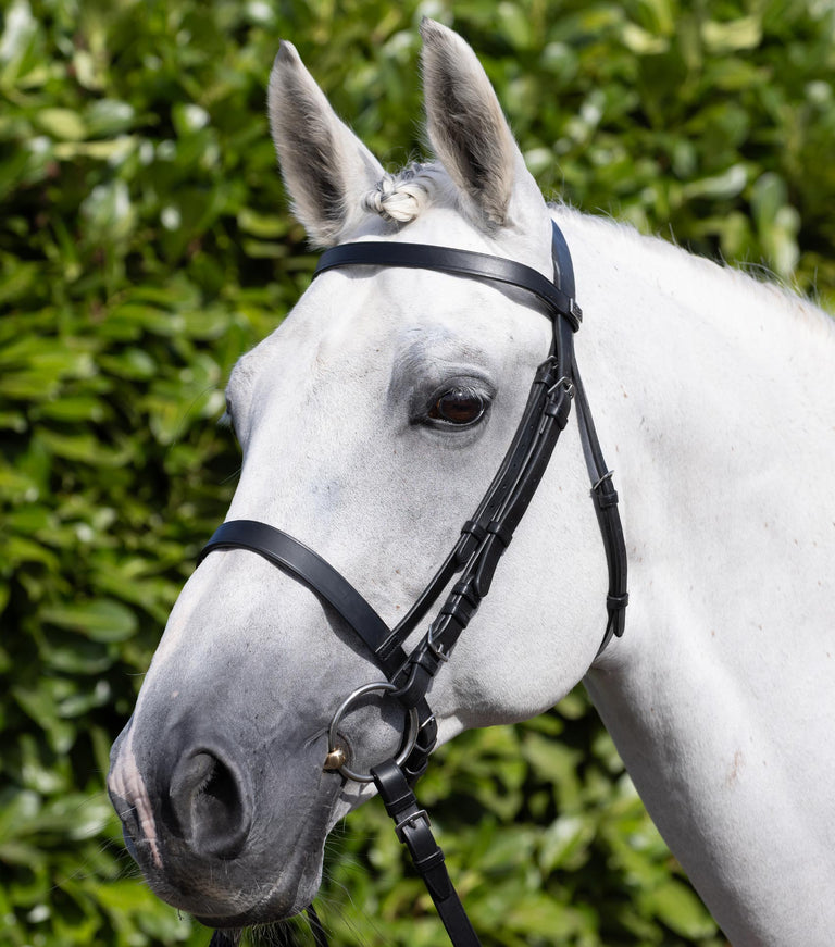 Exercise Racing Bridle with Plain Cavesson Noseband
