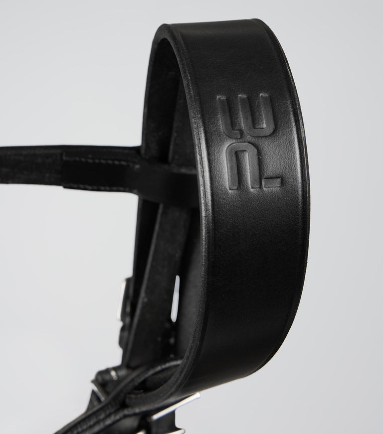 Exercise Racing Bridle with Plain Cavesson Noseband