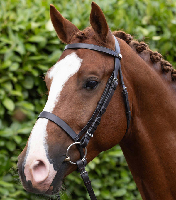 Exercise Racing Bridle with Plain Cavesson Noseband