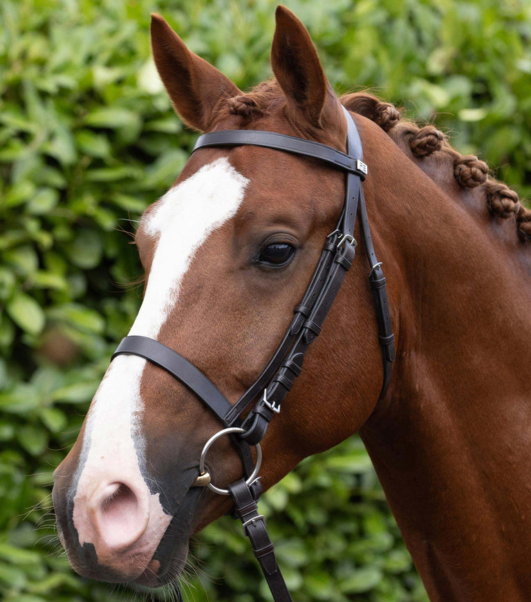 Exercise Racing Bridle with Plain Cavesson Noseband