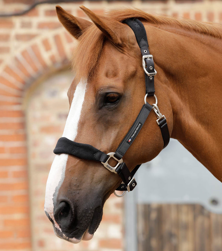 Fleece Padded Horse Head Collar