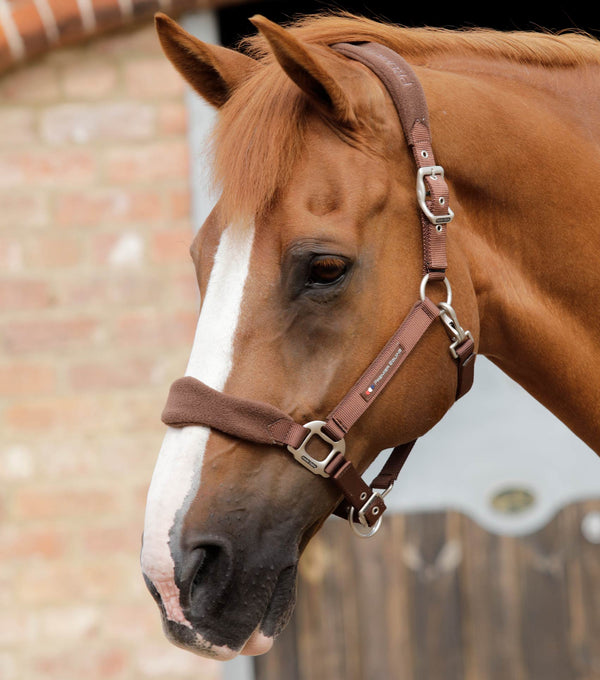 Fleece Padded Horse Head Collar