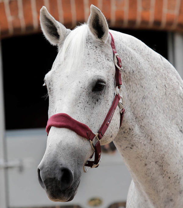 Fleece Padded Horse Head Collar