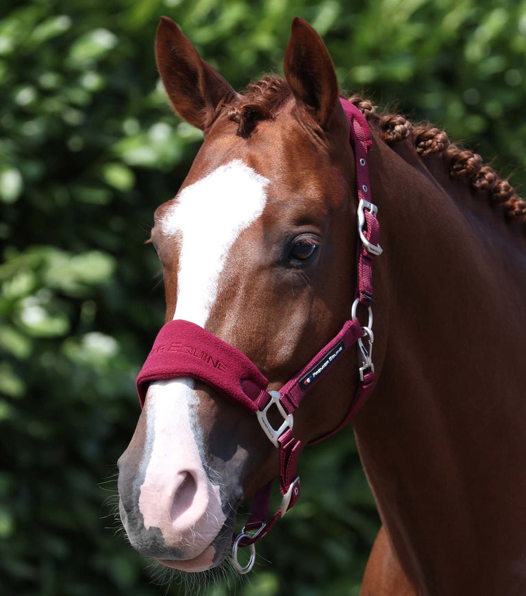 Fleece Padded Head Collar with Lead Rope Burgundy