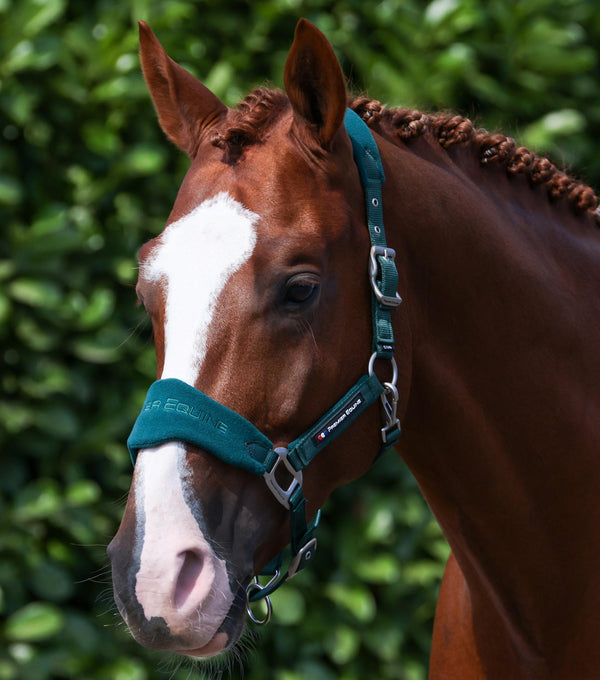 Fleece Padded Head Collar with Lead Rope Green